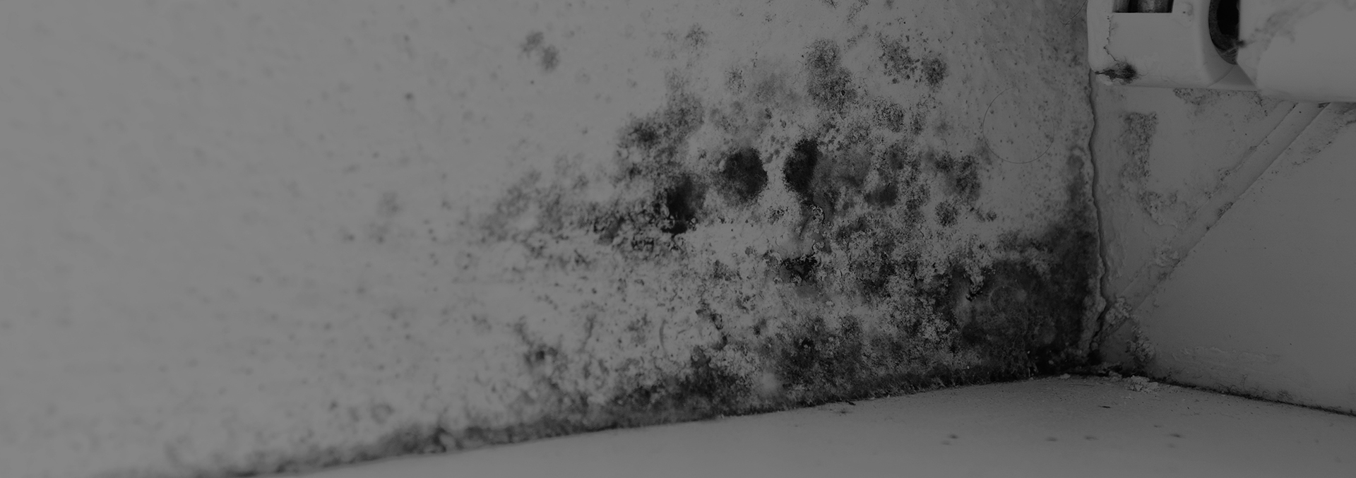 MC-Pedia - Saiba como resolver os
principais problemas de
impermeabilização do pós-obra